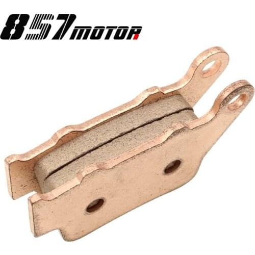 Motorcycle Rear Metal Brake Pads For BMW F800GS F800R F800ST S1000R S1000RR