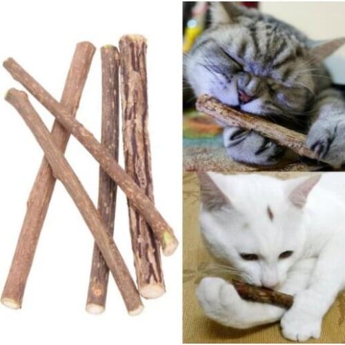 5000pcs Cat clean teeth Pure natural catnip pet cat molar Toothpaste stick silvervine actinidia fruit Matatabi cat snacks sticks