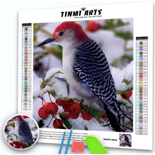 5D Bird Winter Diamond Painting Kits Full Round Drills Embroidery Cross Stitch Velvet Canvas Arts Crafts Gift Home Decor