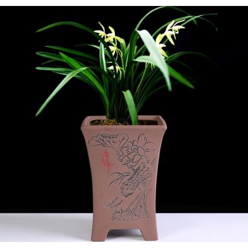 Purple Clay Ceramic Square Orchid Clivia Pots Antique Flower Pots Living Room Balcony Indoor Potted Pot