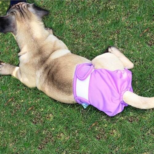 Pet Diapers For Medium And Large Dogs Washable Diapers Prevent Pet Incontinence Dog Panties Gray XL
