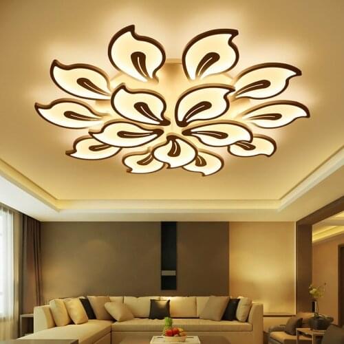 Creative Metal Acrylic LED Ceiling Light House Living Room Bedroom Study Aisle Ceiling lamp Commercial Lighting 100-240V