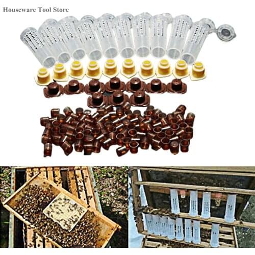 100 Set/lot Beekeeping Rearing Cup Kit Beekeeping Tool Equipment Set Queen Bee Hair Roller Cages Cell Cup Holder Cell Fixtures