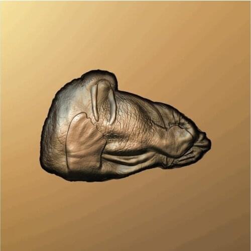 3d model relief for cnc in STL file walrus