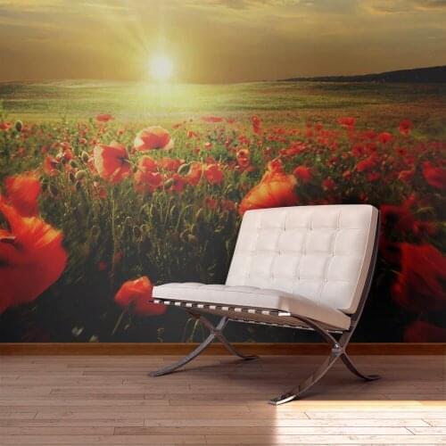 Wall mural-poppy field in the morning-450x270 cm