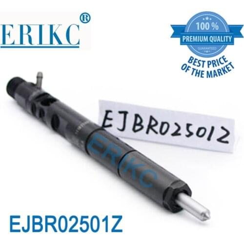 ERIKC EJBR02501Z Auto Diesel Parts Fuel Injector EJB R02501Z Common Rail High Pressure Injection Replacements EJBR0 2501Z
