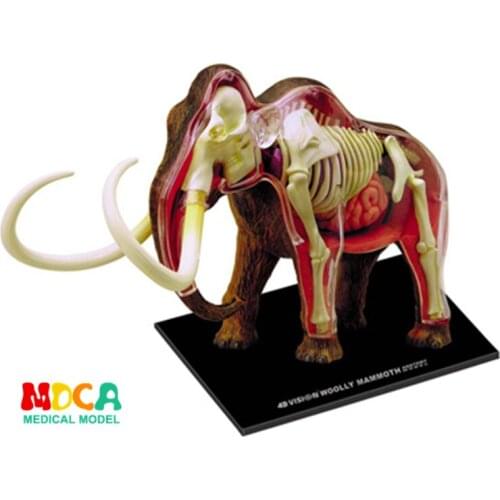Mammoth 4d master puzzle Assembling toy Animal Biology organ anatomical model medical teaching model