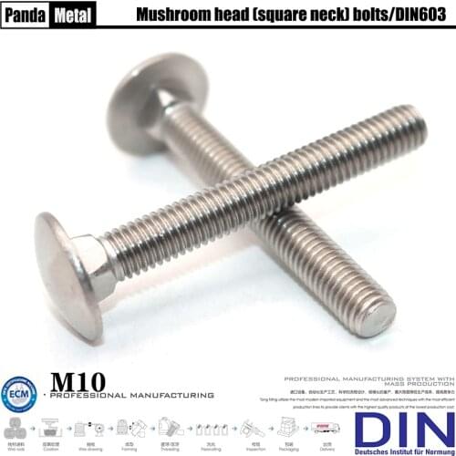THE) 304/316 stainless steel fixing bolt DIN603 mushroom head square neck bolt, frame semicircular head screw A2A4 diameter M10