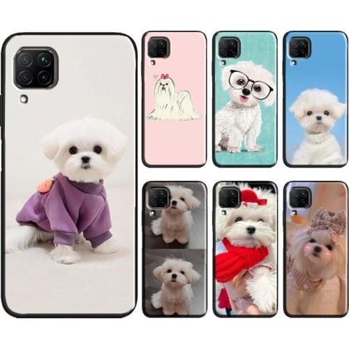 Maltese Dog Puppy Cute Phone Case For Huawei P40 Lite P30 P20 Pro P Smart 2021 2019 Mate 10 20 Lite Back Cover