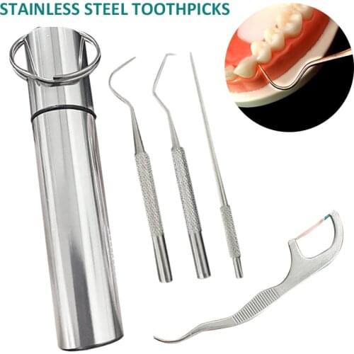 1Set Stainless Steel Toothpicks with Storage Box Reusable Dental Floss Tool Set Household Toothpick Holder Tooth Extractor