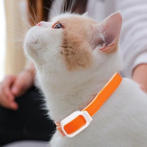 Pet Dog Cat Insect Repellent Fleas Collar Anti Flea and Ticks Prevention Mosquitoes Repellent Collar For Cat Dog Pet Products