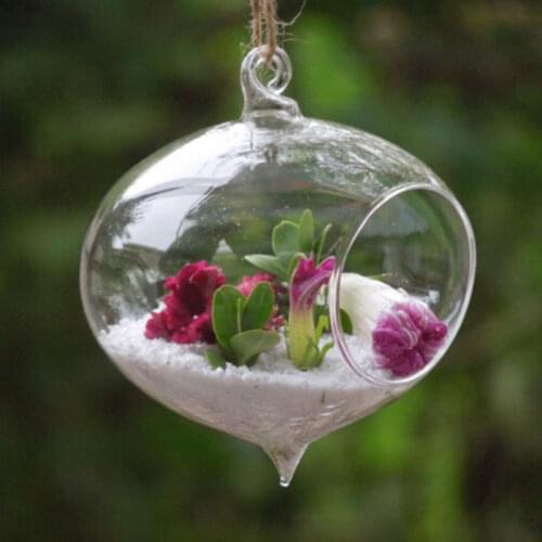 Cheap glass vases hanging Flower vases wedding decoration home decorative vases cone shape glass jars Micro Landscape pots