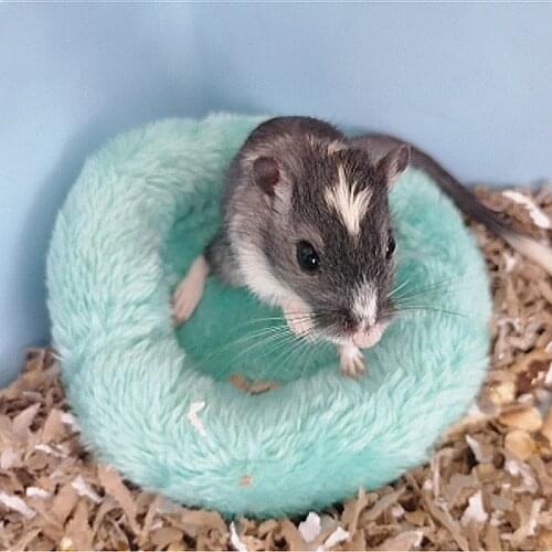 Round Soft Pet Bed Kennel Pad Dogs Cat Hamster Nest Warm Sleeping Bags Long Plush Rabbit Basket Puppy Cushion Mat Pets Supplies