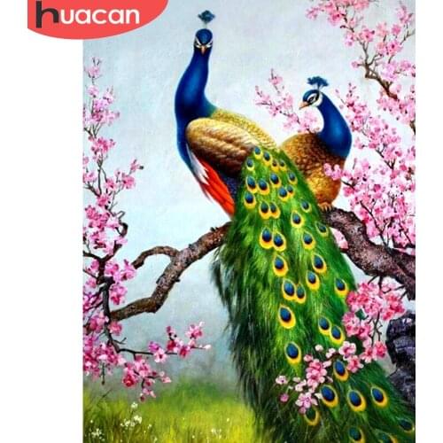 HUACAN 5D DIY Diamond Painting Full Display Peacock Diamond Embroidery Full Square Mosaic Picture Of Rhinestones Home Decor Gift