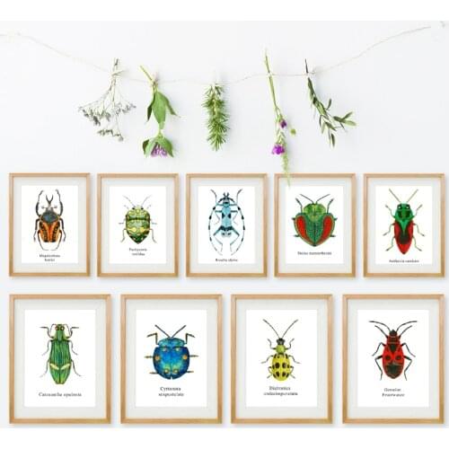 Watercolor Beetle Illustration Prints Coleoptera Insects Posters Home Room Wall Art Decor Educational Canvas Painting Picture