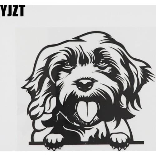 YJZT 14.6CMX12.8CM Cockapoo Poodle Decal Peeking Dog Vinyl Car Sticker Black/Silver 8A-0552