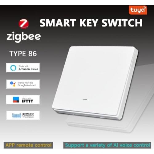 Tuya Zigbee 3.0 Smart Curtain Switch EU Button Switches 100-240V Voice Control Smart Switch Work With Alexa / Google Home