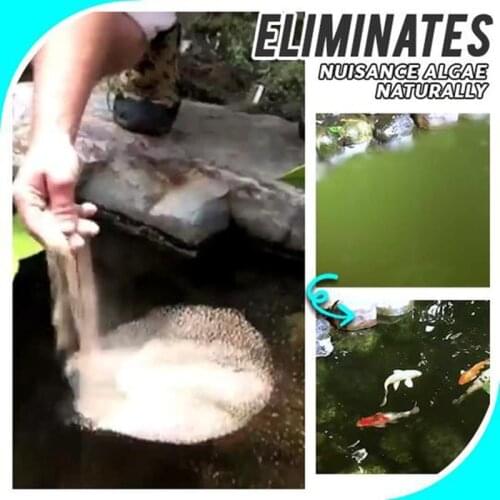 Aquarium Algaecide Water Algae Control Fish Tank Moss Remover 50g B1