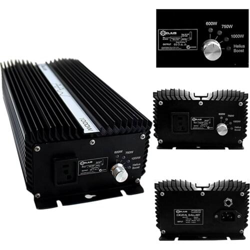 Remote control 1000w HPS/MH grow light dimming Electronic Ballast for green house Grow light