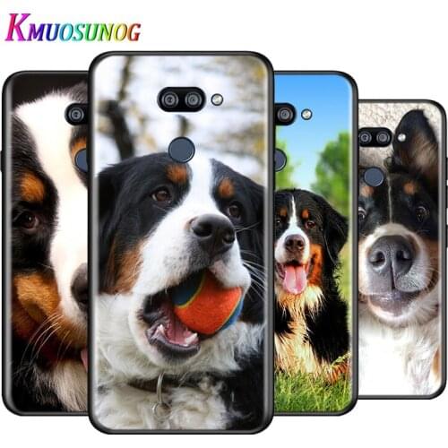 Animal Bernese Mountain Dog For LG K22 K71 K61 K51S K41S K30 K20 2019 Q60 V60 V50S V50 V40 V35 V30 G8 G8S G8X ThinQ Phone Case
