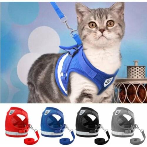 Ошейники для кошек YunusAkvaryum China At AliExpress