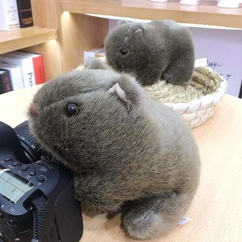 Cute Plush Hamster Doll Simulation Guinea Pig Realistic Animal Kawaii Plush Doll