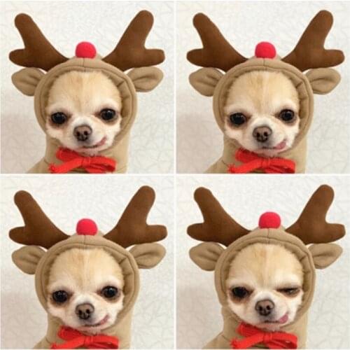 Hoodie Dog Clothes Pet Fruit for Dogs Clothing Super Small Outfits Cute Autumn Yorkies Warm Yollow Cotton Boy Ropa Para Perro