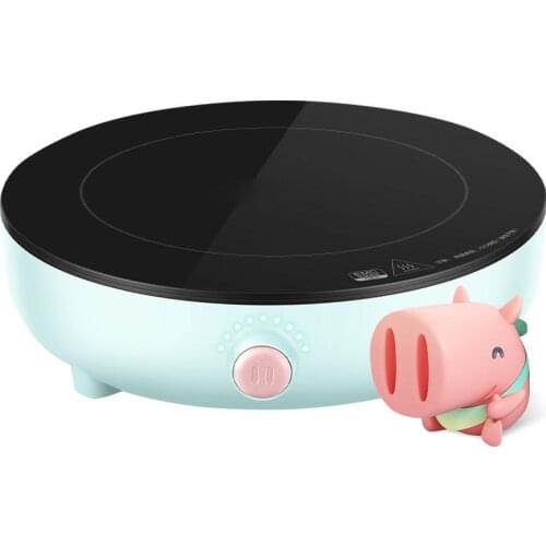 Dani Zhang Induction Cookers