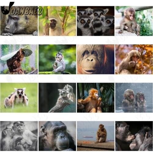 Modern Little Monkey Animal Diamond Painting 5D Diy Wall Art Cute Pet Inlaid Home Room Decoration Accessories