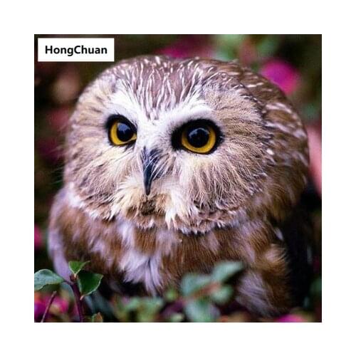 New Owl Diamond Painting DIY Diamond Inlaid Handmade 5D Diamond Embroidered Cross Stitch Kit Home Decoration Christmas