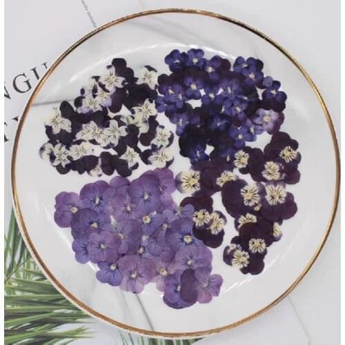 20pcs Pressed Dried Viola tricolor L Pansy Herbarium For Nail Art Face Make UP Epoxy Resin Jewelry Frame Phone Case Craft DIY