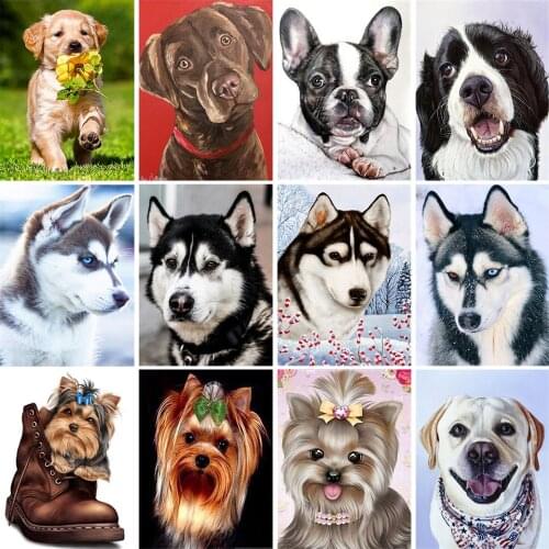 5D Diamond Painting Animal Rhinestone Picture Square/Round DIY Diamond Embroidery Dog Mosaic Home Decoration Handmade Hobby Gift