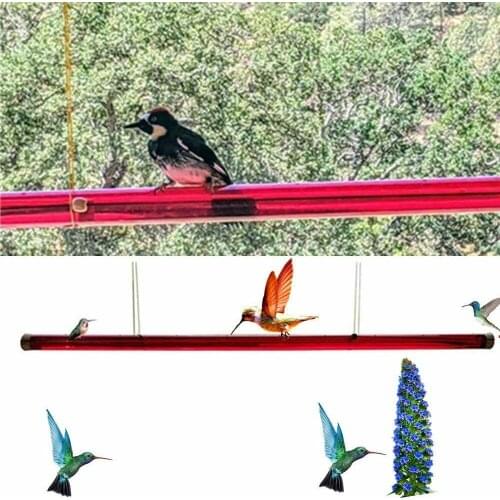 Outdoor Poratble Best Hummingbird Feeder with Hole Bird Feeding Pipe 15.7in/40cm Red/Transparent Optional