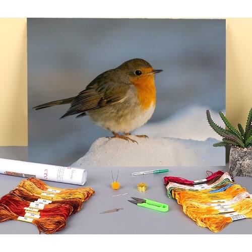 Bird Animal Printed Canvas 11CT Cross-Stitch DIY Embroidery Patterns DMC Threads Hobby Sewing Handmade Handicraft Counted Gift