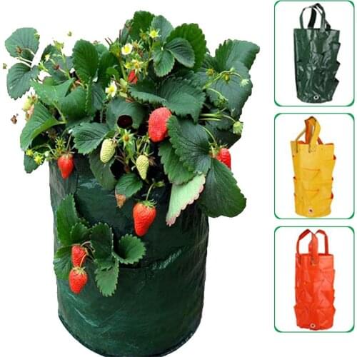 Garden Strawberry Grow Bag 3 Gallon PE Water-resistant Nursing Pots With Handles Strawberry Planting Grow Bag Garden Supplies