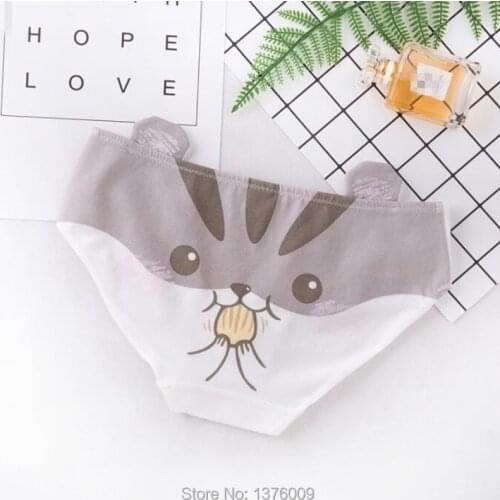 WXCTEAM Women Underwear