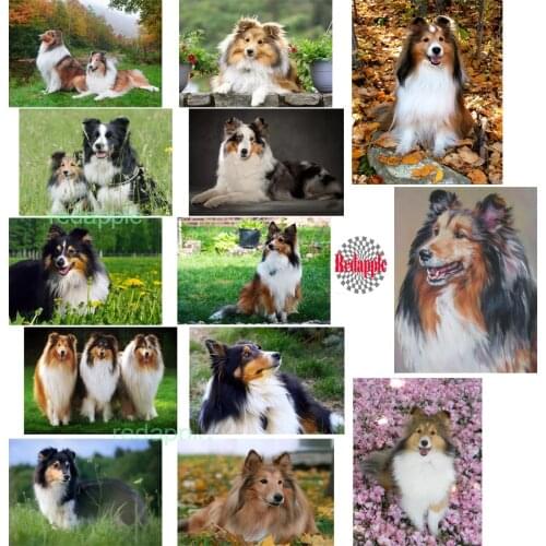 5D DIY Diamond Painting"Sheepdog sheltie"Full square diamond Embroidery pet dog 3d picture Mosaic rhinestone painting home Decor