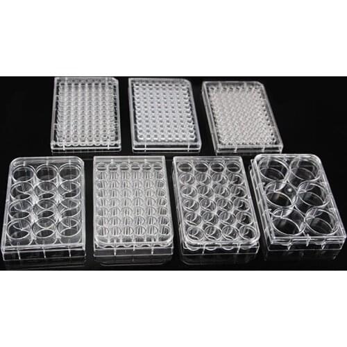 5pcs 6/12/24/48/96/384 hole Disposable Cell Culture Plate Bacterial Culture Plate Enzyme Label Plate Sterilization Packaging TC