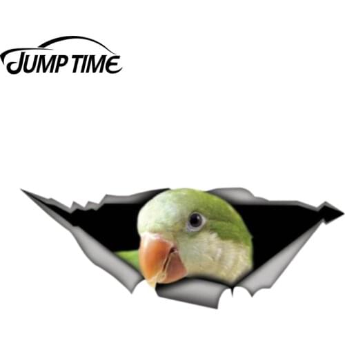 Jump Time 13cm x 4.8cm quaker parakeet decal 3D Pet Graphic Vinyl Decal Car Window Laptop Bumper Animal Car Stickers