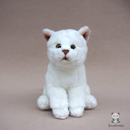 British shorthair doll plush toy cute and soft white cats dolls model toys children birthday gifts