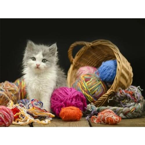 Cat Animal Printed 11CT Cross Stitch DIY Embroidery Set DMC Threads Handicraft Handiwork Knitting Handmade Mulina Package