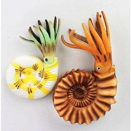 1 pcs sealife oceanarium wild animals Mollusk Nautilus Marine organism figurine figure kids educational toys for children