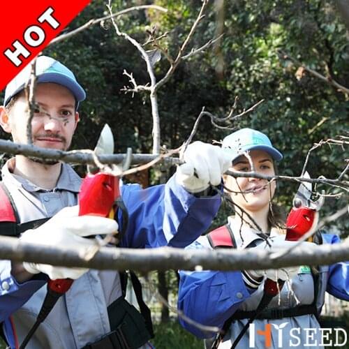 Lithium battery orchard secateurs best garden tools (CE 6-8 working hours)