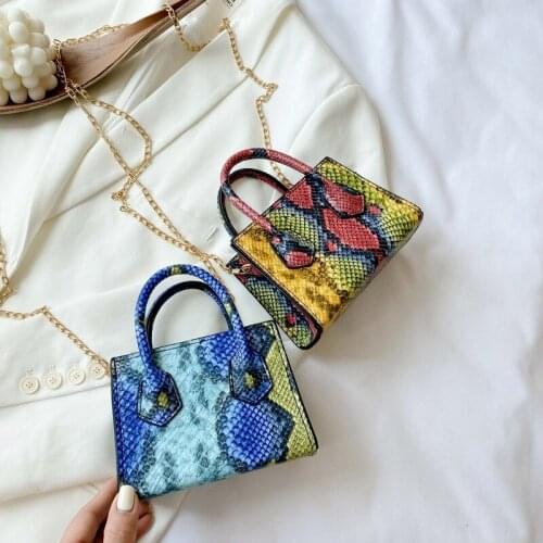 New Fashionable Womens Bag European and American Trend Serpentine One-shoulder Bag Mini Vintage Chain Bag Oblique Handbag