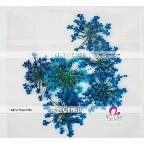 Assorted Styles Natural Dry Flower for Nail Art 300packs A_Grade Pressed Dried Flowers