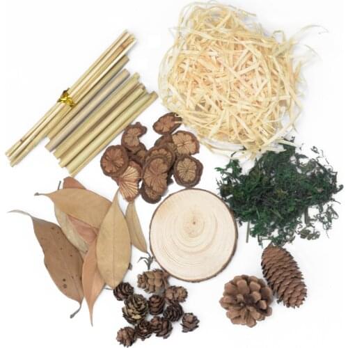 Photography Props Natural Plants Pine Cones Photo Background Accessories Studio Props Home Decor DIY Craft Wood Ornaments