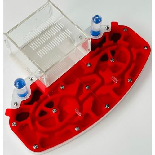 Large Size 24*18cm arylic ant nest dural mosturing expansion Ant Farm Educational Kit Ant Habitat Formicarium