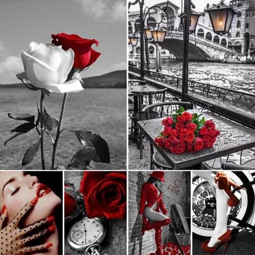 DIY 5D Diamond Painting Black White Woman Rose Kit Full Drill Square Embroidery Mosaic Art Picture Rhinestones Home Decor Gift