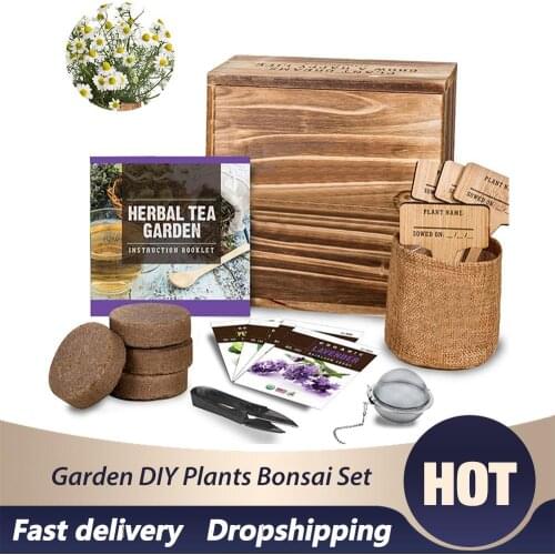 Garden Starter Kit Handmade Durable DIY Grow Set for Growing Herbs Indoors Plants Bonsai Set Biodegradable Home Gardening Tools