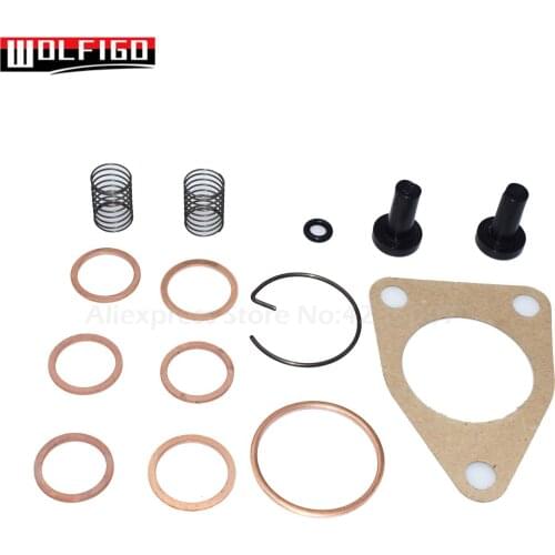 WOLFIGO New Gasket Kit Fit For DGK301 Supply Pumps ADS-DGK-301 Feed Pump kit 2447010004,DGK301,DGK301-R